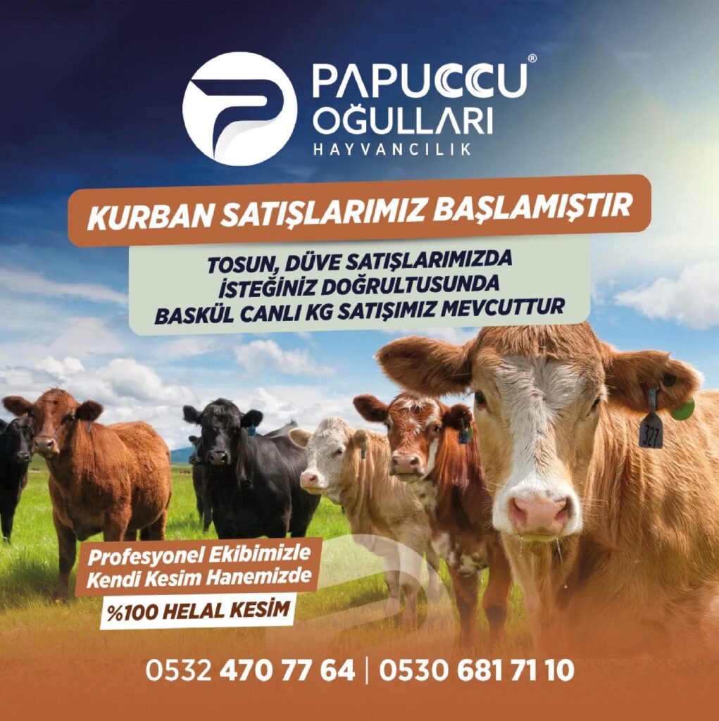 Papuccu Oğulları Hayvancılık’ta Kurban Satışları Başladı